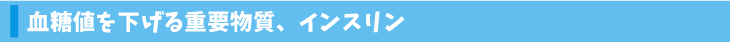 血糖値を下げる重要物質、インスリン