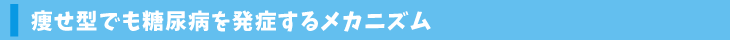 痩せ型でも糖尿病を発症するメカニズム