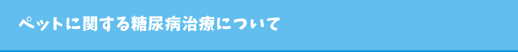 ペットに関する糖尿病治療について