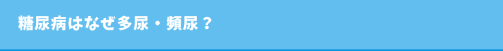 糖尿病はなせ多尿・頻尿?